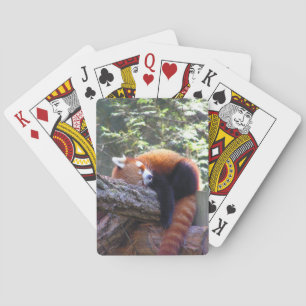 Baraja De Cartas Panda roja el dormir