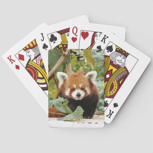 Baraja De Cartas Panda rojo (Reverso)
