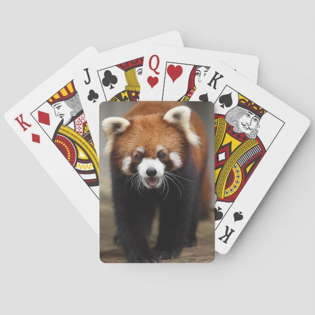 Baraja De Cartas Panda rojo (Reverso)