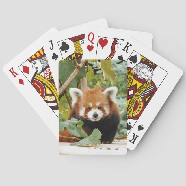 Baraja De Cartas Panda rojo (Reverso)