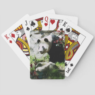 Baraja De Cartas Panda Smile
