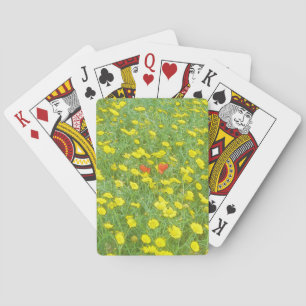 Baraja De Cartas Papas acuáticas