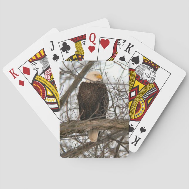 Baraja De Cartas Paquetes de águilas calvas (Reverso)