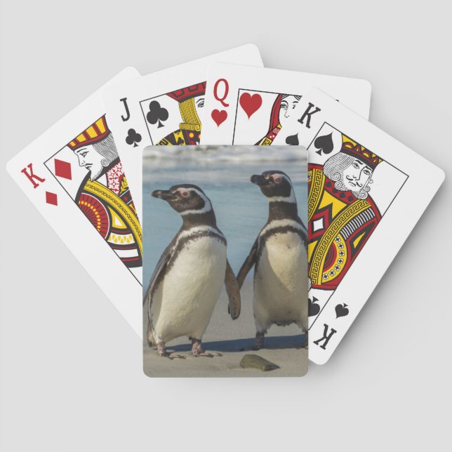 Baraja De Cartas Par de pingüinos en la playa (Reverso)