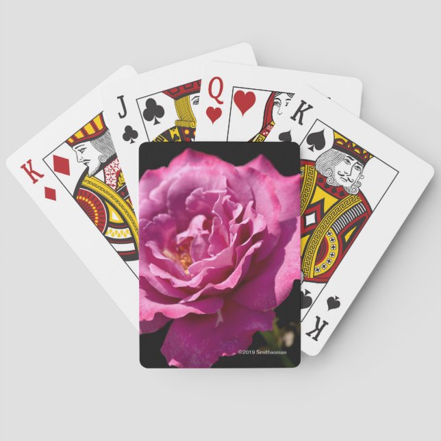 Baraja De Cartas Para arriba-Cierre subió cara del ángel (Reverso)