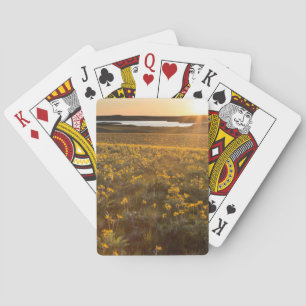 Baraja De Cartas Paraje de flores silvestres de Balsamroot de hoja 