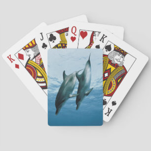 Baraja De Cartas Pareja de delfines