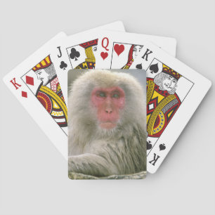 Baraja De Cartas Pareja de monos de nieve, macaco japonés,