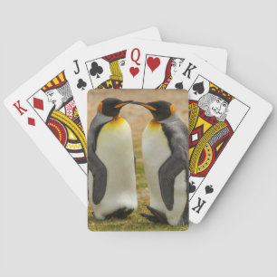 Baraja De Cartas Pareja de pingüinos rey, Malvinas