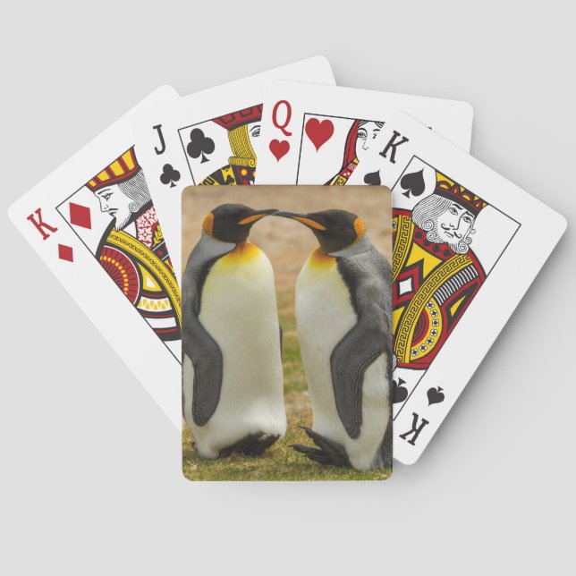 Baraja De Cartas Pareja de pingüinos rey, Malvinas (Reverso)