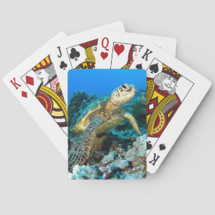 Baraja De Cartas Pares de la tortuga