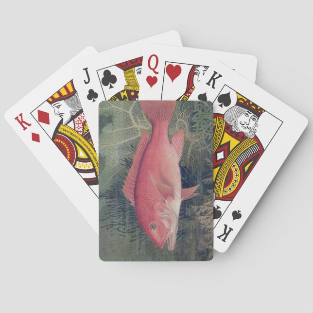 Baraja De Cartas Pargo Rojo, de 'Game Fishes of the United States (Reverso)