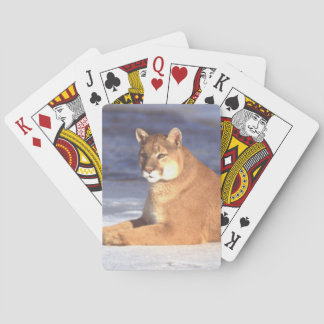 Baraja De Cartas Paro