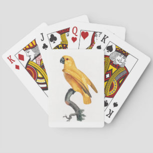 Baraja De Cartas Paro de Senegal