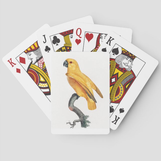 Baraja De Cartas Paro de Senegal (Reverso)