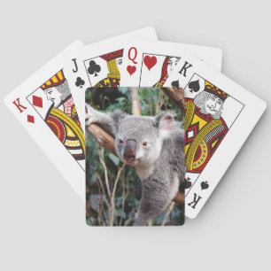 Baraja De Cartas Parque de vida silvestre Featherdale, Koala Bears