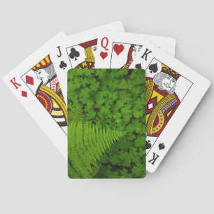 Baraja De Cartas Parque Estatal de los Bosques de Humboldt