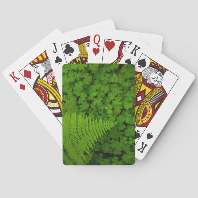 Baraja De Cartas Parque Estatal de los Bosques de Humboldt (Reverso)