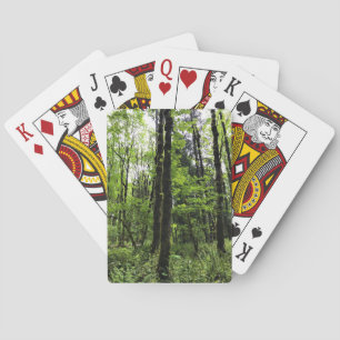 Baraja De Cartas Parque Estatal Elijah Bristow, Dexter, Oregón