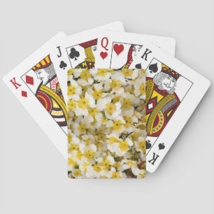 Baraja De Cartas Parque Nacional Capitol Reef, Utah, Estados Unidos