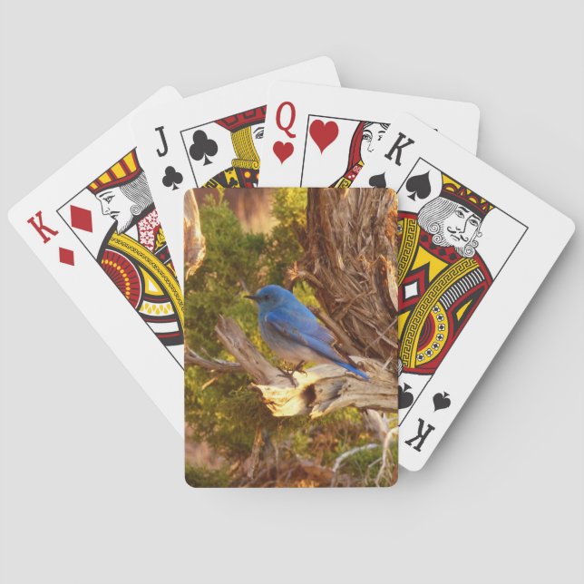 Baraja De Cartas Parque nacional de Arches (Reverso)