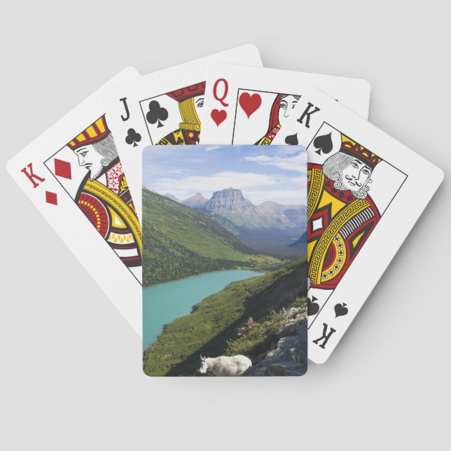 Baraja De Cartas Parque nacional Glacier, Montana (Reverso)