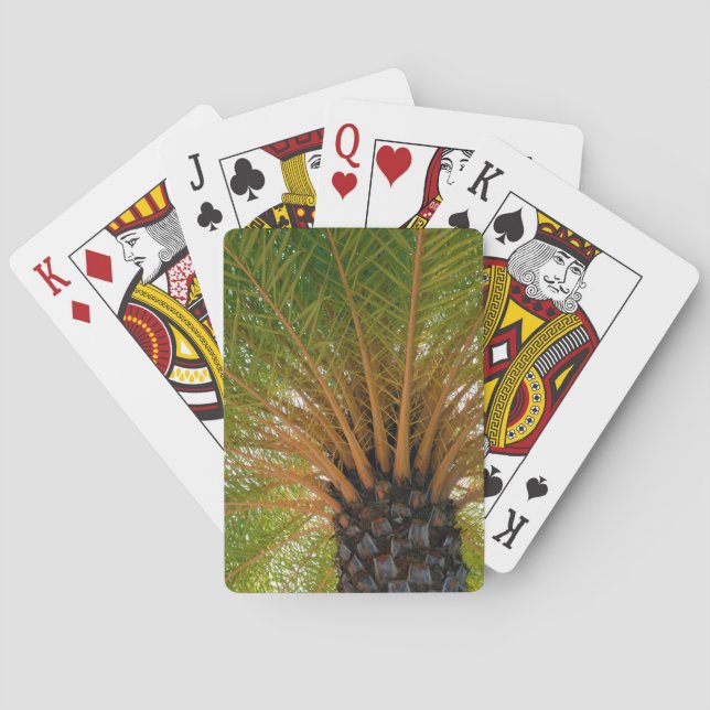 Baraja De Cartas Parte inferior de la palmera (Reverso)