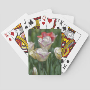 Baraja De Cartas Pastel Tulips