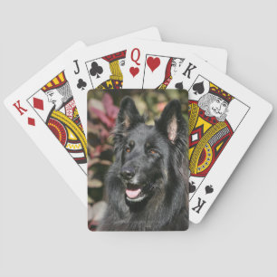 Baraja De Cartas Pastor alemán de larga tradición negra