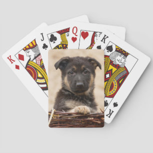 Baraja De Cartas Pastor alemán en cesta