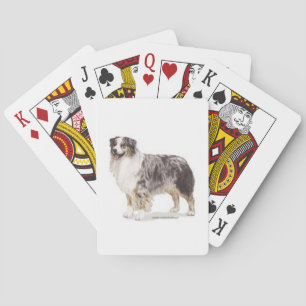 Baraja De Cartas Pastor australiano