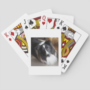 Baraja De Cartas Pastor de Shetland Negro y Blanco