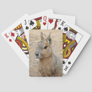 BARAJA DE CARTAS PATAGONIAN MARA