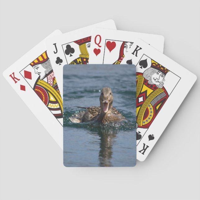 Baraja De Cartas Pato con el pico abierto                   (Reverso)