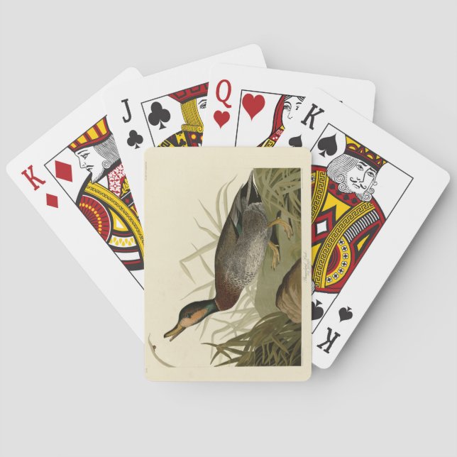 Baraja De Cartas Pato de Bemaculated (Brewer's), Aves Audubónicas A (Reverso)