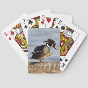Baraja De Cartas Pato joya sobre tronco en humedal