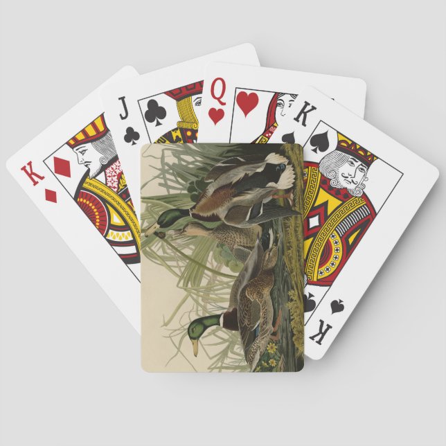 Baraja De Cartas Pato Mallard de los pájaros de América de Audubon (Reverso)