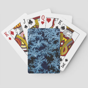 Baraja De Cartas Patrones de escarcha en primer plano, California