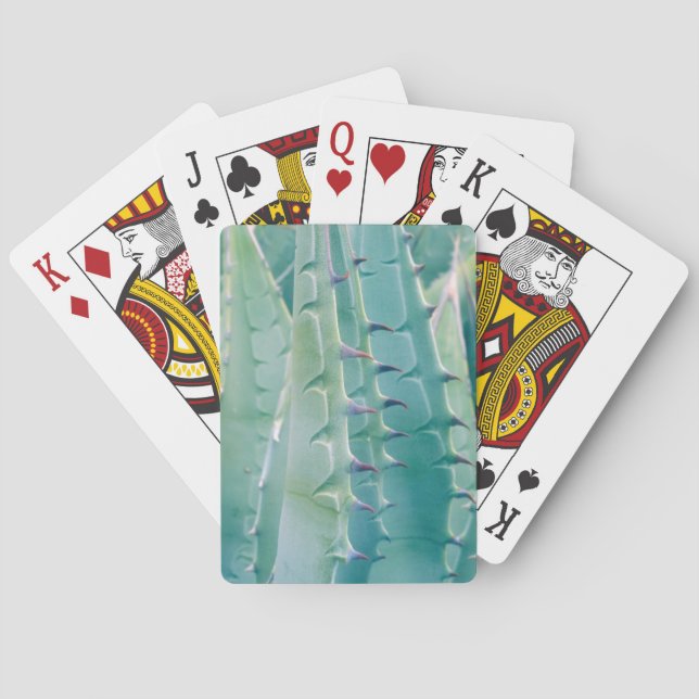 Baraja De Cartas Patrones de una planta de Agave (Reverso)