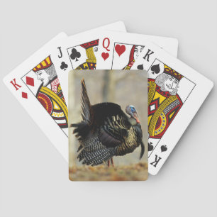 Baraja De Cartas Pavo macho pavoneándose, Illinois