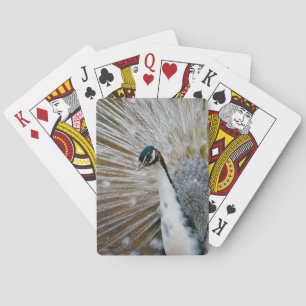 Baraja De Cartas Pavo real blanco