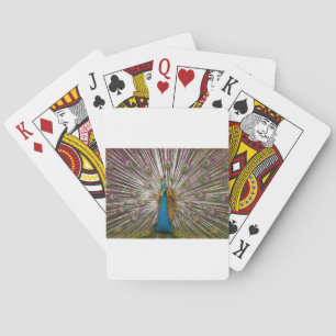 Baraja De Cartas Pavo real pacífico