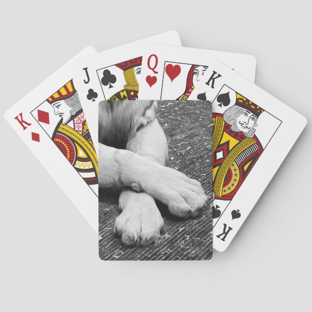 Baraja De Cartas Paws (Reverso)