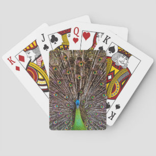 Baraja De Cartas Peacock