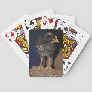 Baraja De Cartas Peep