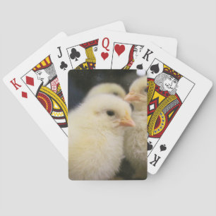 Baraja De Cartas Peeps