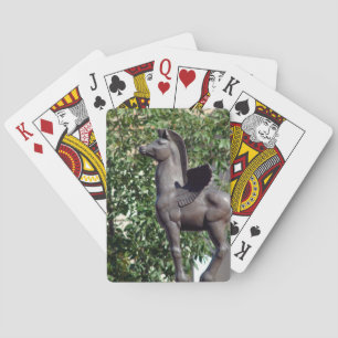Baraja De Cartas Pegasus en la Plaza