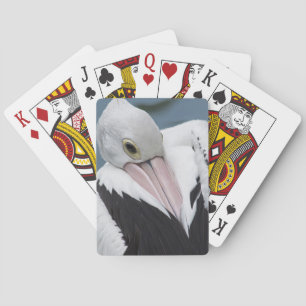 Baraja De Cartas Pelícano australiano primer plano