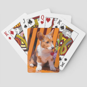 Baraja De Cartas Pembroke Welsh Corgi cachorro sentado en el banco 