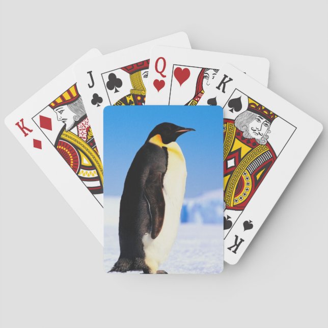 BARAJA DE CARTAS PENGUIN (Reverso)